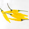 Aji Pineapple Pepper Seeds, Garden Vegetables