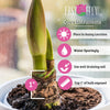 Amaryllis - Pink Flush 1 Bulb By Easy To Grow Bulbs