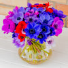 Anemone 60 Bulbs - Monarch de Caen Mix By Easy To Grow Bulbs