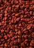 Bixa orellana - Annatto Achiote Shrub / Tree - Live Plant