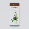 Anthrulla - Plant trellis inspired by the Queen Anthurium