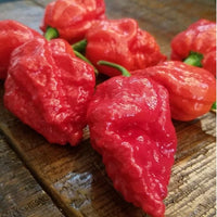 Apocalypse Scorpion Pepper Seeds, Destructive Super Hot Garden Vegetables