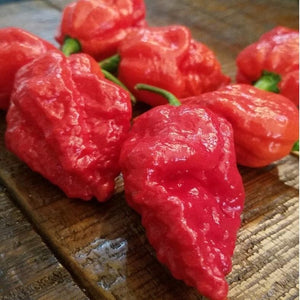 Apocalypse Scorpion Pepper Seeds, Destructive Super Hot Garden Vegetables