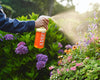 Spray Bottle For Plants & Gardens By Arber