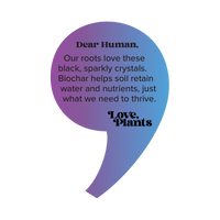 Black Magic Biochar, Soil Supplement By Love Plants