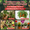 Hormex Mother Mist - Cal-Mag-Iron + B1 Misting Spray for All Plant Varieties - Boost Growth, Strengthen Plants & Improve Cloning Success