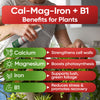 Hormex Mother Mist - Cal-Mag-Iron + B1 Misting Spray for All Plant Varieties - Boost Growth, Strengthen Plants & Improve Cloning Success