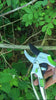 2-in-1 Garden Ratchet Pruning Shears Clippers By Garden Guru