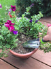 Titanium Garden Transplanter Trowel By Garden Guru