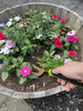 Titanium Hand Weeder Fork Tool By Garden Guru