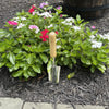 Stainless Steel Transplanter Trowel (classic wood handle) By Garden Guru