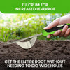 Stainless Steel Garden Dandelion Weeder By Garden Guru