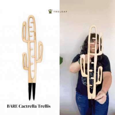 BARE™ Cactrella™ - Customizable Wooden Plant Support - Inspired By The Barrel Cactus
