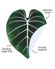 Gloriosum Giant Plant Leaf 7.5ft Tall Blanket