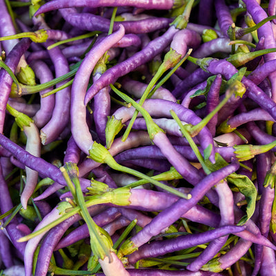 Buena Mulata Hot Pepper Seeds, Ornamental Heirloom Garden Vegetables