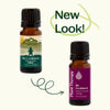 Be Confident Essential Oil Blend By Plant Therapy