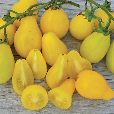 Beam's Yellow Pear Tomato Seeds, European Garden Vegetables