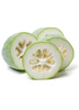 Benincasa Hispida, Winter Melon Vine - Live Plant