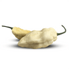 Rare White Ghost (Bhut Jolokia) Chile Pepper Seeds, Exotic & HOT Garden Vegetables