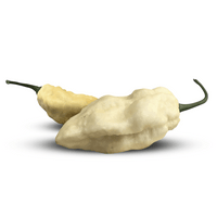 Rare White Ghost (Bhut Jolokia) Chile Pepper Seeds, Exotic & HOT Garden Vegetables