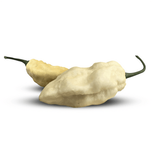 Rare White Ghost (Bhut Jolokia) Chile Pepper Seeds, Exotic & HOT Garden Vegetables