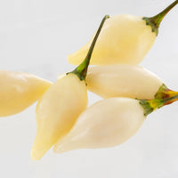 Biquinho White Pepper Seeds, Garden Vegetables