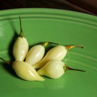 Biquinho White Pepper Seeds, Garden Vegetables