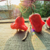 Bishops Crown Pepper Seeds, Snacking Chili Garden Vegetables