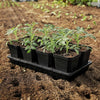 5" Heavy Duty Nursery Pots By Bootstrap Farmer MADE IN THE USA