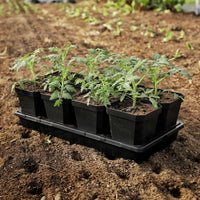 5" Heavy Duty Nursery Pots By Bootstrap Farmer MADE IN THE USA
