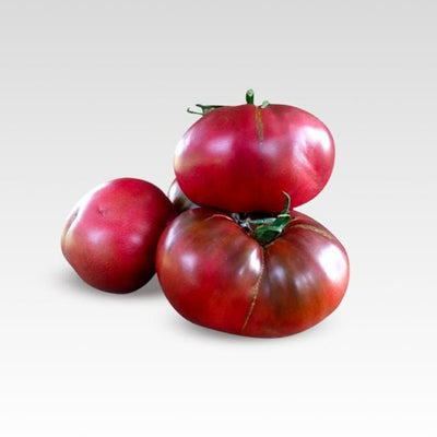 Black Magic Tomato Seeds, Solanum lycopersicum Garden Vegetables