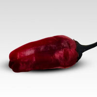 Rare Black Scorpion Tongue Pepper Seeds, Beautiful Chiles Garden Vegetables