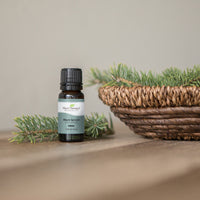 Black Spruce Essential Oil By Plant Therapy