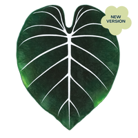 Gloriosum Giant Plant Leaf 7.5ft Tall Blanket