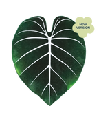 Gloriosum Giant Plant Leaf 7.5ft Tall Blanket