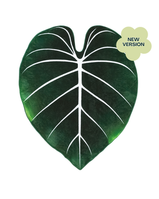 Gloriosum Giant Plant Leaf 7.5ft Tall Blanket