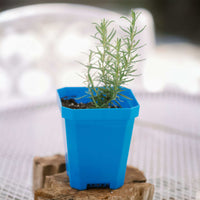 5" Heavy Duty Nursery Pots By Bootstrap Farmer MADE IN THE USA