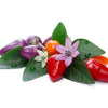 Bolivian Rainbow Pepper Seeds, Classic Ornamental Garden Vegetables