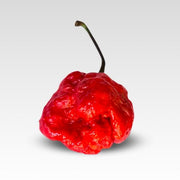 Brazilian Moruga Long Lasting Burn Pepper Seeds, Garden Vegetables