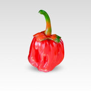 Bubblegum 7 Pot Pepper Seeds, Serious Heat Garden Vegetables