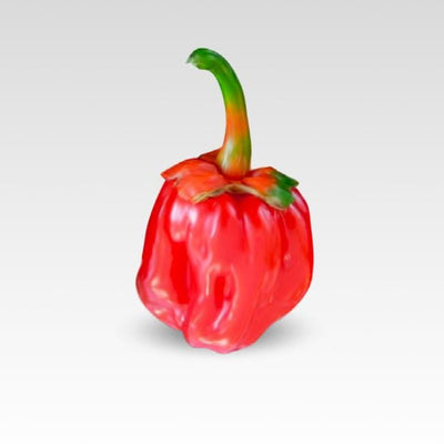 Bubblegum 7 Pot Pepper Seeds, Serious Heat Garden Vegetables