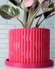 Modern Heart-Shaped Planter with Drainage & Saucer In Several Colors & Sizes!