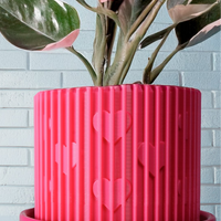 Modern Heart-Shaped Planter with Drainage & Saucer In Several Colors & Sizes!