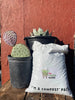 Cactus and Succulent Plant Growers Soil By The Cactus Outlet