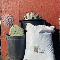 Cactus and Succulent Plant Growers Soil By The Cactus Outlet