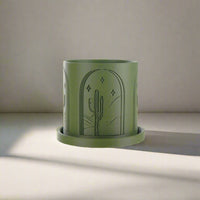 Cactus Planter With Size & Color Options