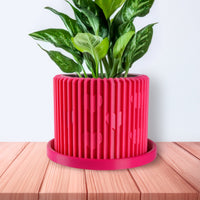 Modern Heart-Shaped Planter with Drainage & Saucer In Several Colors & Sizes!