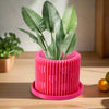 Modern Heart-Shaped Planter with Drainage & Saucer In Several Colors & Sizes!