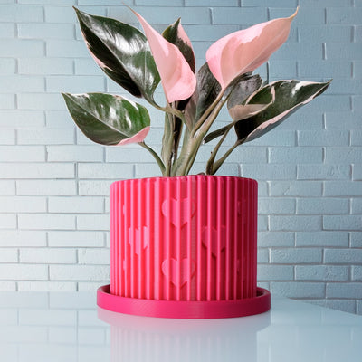 Modern Heart-Shaped Planter with Drainage & Saucer In Several Colors & Sizes!