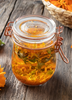 Calendula officinalis, Edible Medicinal Orange Calendula - Live Plant